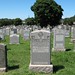 Joseph Sheehan Photo 41