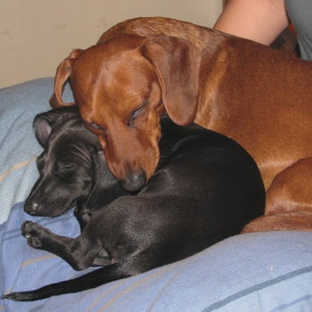 Christy Rawls Photo 4