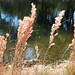 Jessica Pond Photo 10