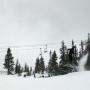 Ross Cook Photo 32