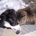 Maxine Fischer Photo 16