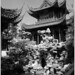 Tao Yu Photo 21