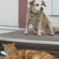 Kathy Humphrey Photo 21