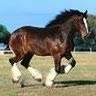 Sarah Crofts Photo 20