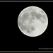 Jerry Fuller Photo 41