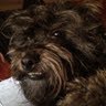 Adela Smith Photo 11