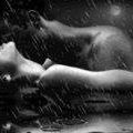 Vickie Fox Photo 23
