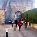Amy Ridder Photo 14