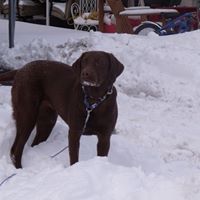 Patty Sharpe Photo 7