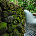 Dam Fall Photo 11