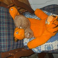 Beth Schaffer Photo 18