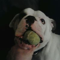 Matthew Dodson Photo 24