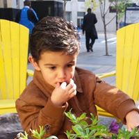 Cathy Gauthier Photo 28