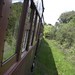 Carlos Goncalves Photo 39