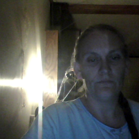 Tracy Stephens Photo 31