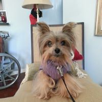 Marie Mccullough Photo 5
