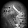 John Cheek Photo 16