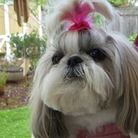 Sherry Swan Photo 7