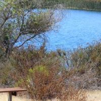 Robert Cronk Photo 11