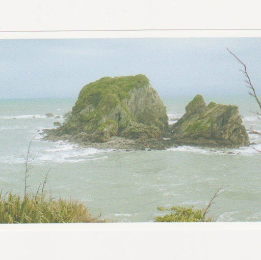 Debbie Wall Photo 7