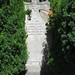 Annie Wyatt Photo 20