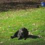 Teresa Whitt Photo 17