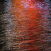 Russell Brant Photo 8