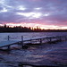 Sandy Davis Photo 30