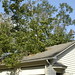 Rita Livingston Photo 9