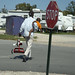 Wilbert Ross Photo 16