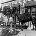 Donald Rupert Photo 16