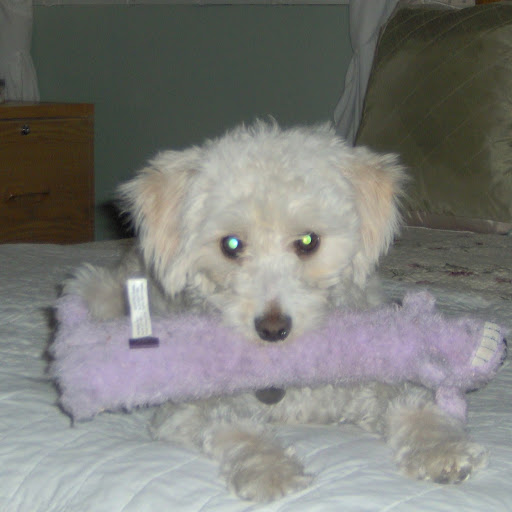 Nancy Keller Photo 22