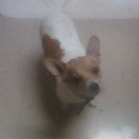 Melvin Short Photo 2