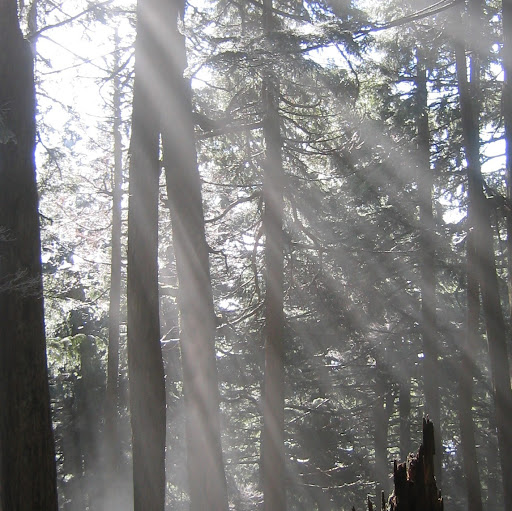 Jennifer Nordin Photo 5