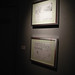 Joe Palumbo Photo 52