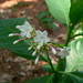 Yin Fu Photo 17