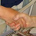 Lynn Hand Photo 16