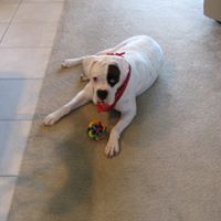 Walter Short Photo 8