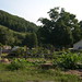 Lewis Waite Photo 8