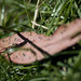 Roberta Groves Photo 11