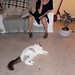 Simone White Photo 15