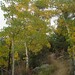 Steve Meadows Photo 21