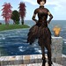 Terri Stringer Photo 12