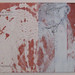 Colleen Reid Photo 22