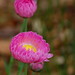 Linda Kidd Photo 21