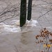 Susan Snead Photo 25