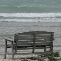 Anne Levine Photo 18