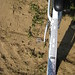 Randall Roscoe Photo 10