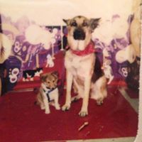 Amy Tabor Photo 7