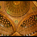 Mohammad Pasha Photo 28